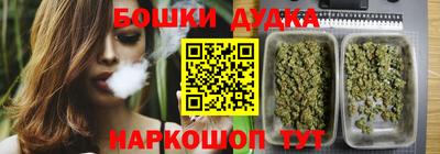 МДПВ Бийск