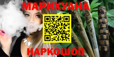 МДПВ Бийск