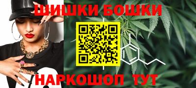 МДПВ Бийск