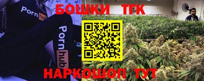 МДПВ Бийск