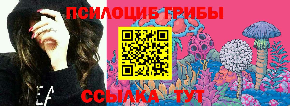 Галлюциногенные грибы Psilocybine cubensis  Вход с VPN  Октябрьский 