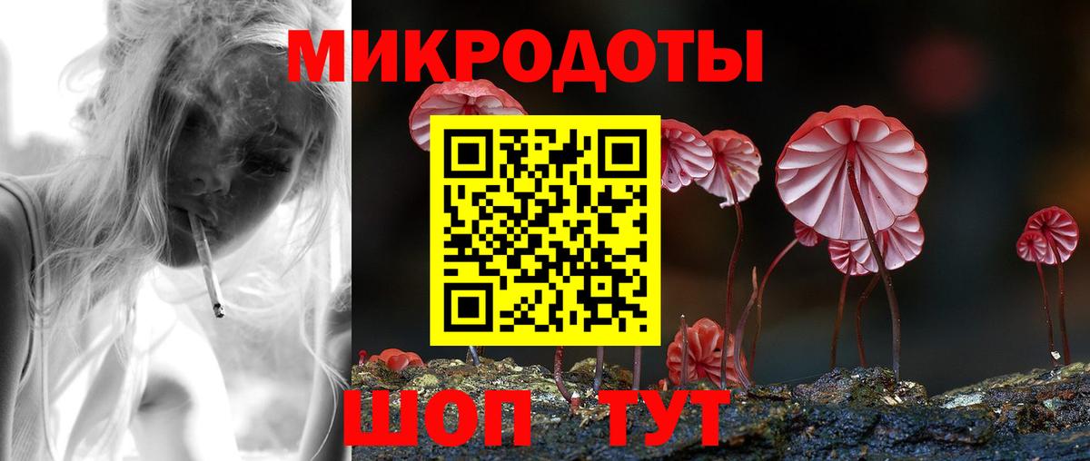 Псилоцибиновые грибы мицелий Октябрьский